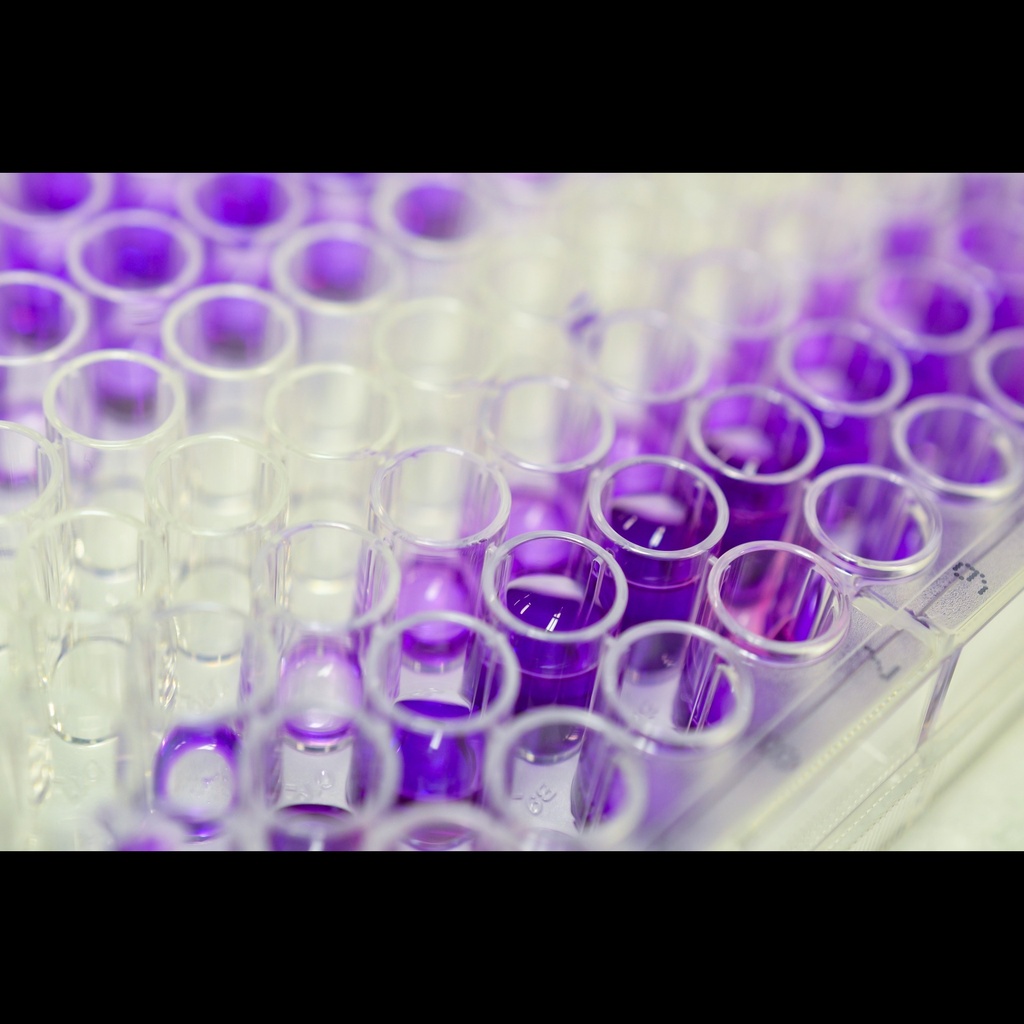 Chicken Corticosterone CS ELISA Kit size: 96 Tests