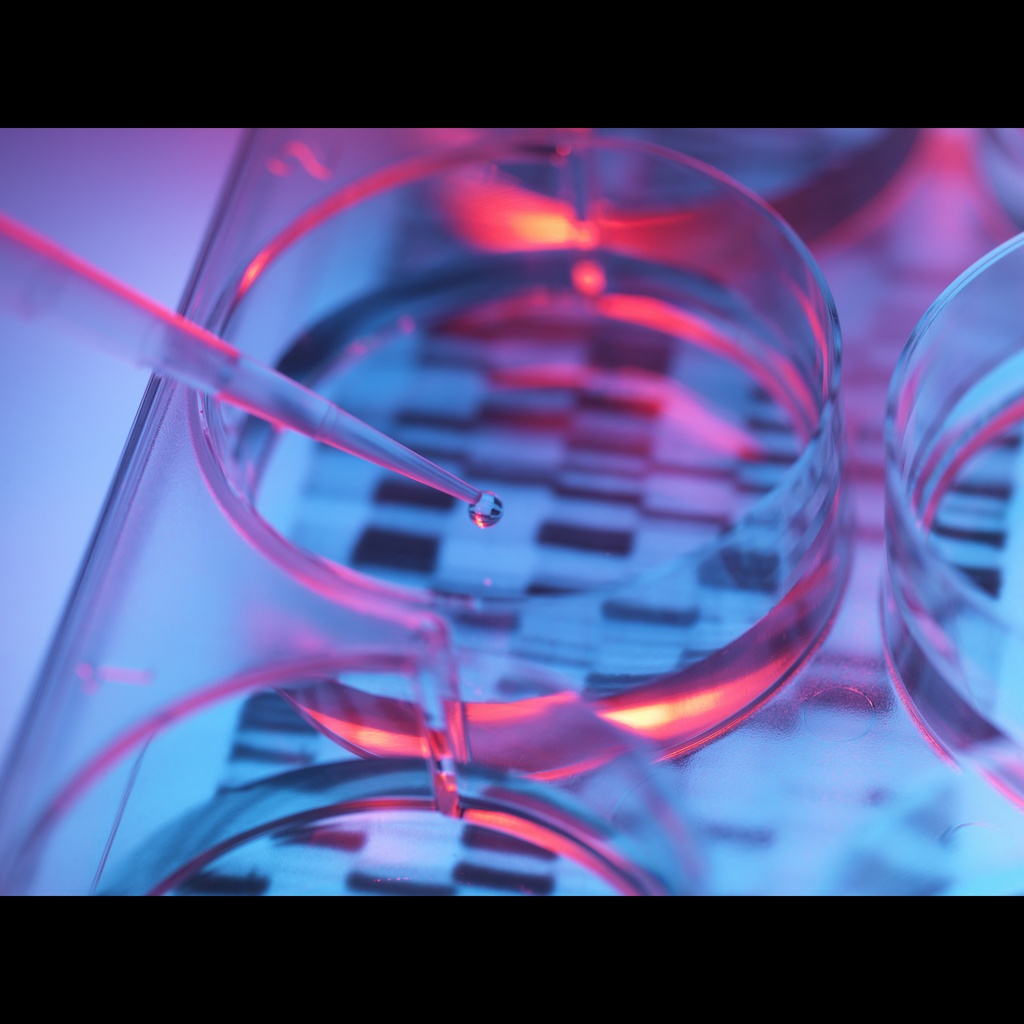 Genorise® Plasma/Serum DNA Extraction Kit  size: 50 Tests